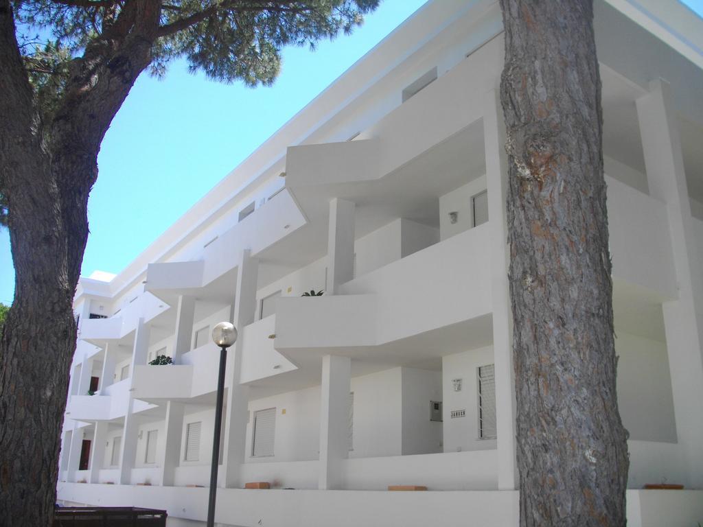 Beach Falesia Albufeira Værelse billede
